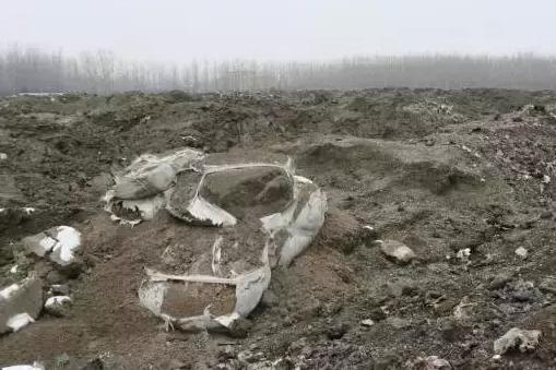 1500257970469003571.png blob.png