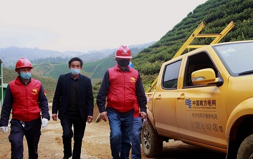 平塘供電局：“加減法”同構(gòu)服務(wù)，護(hù)航“貴州春茶第一壺”