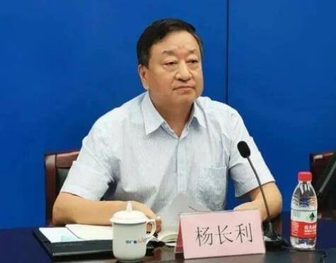 任職總經(jīng)理半年后，楊長利任中廣核董事長