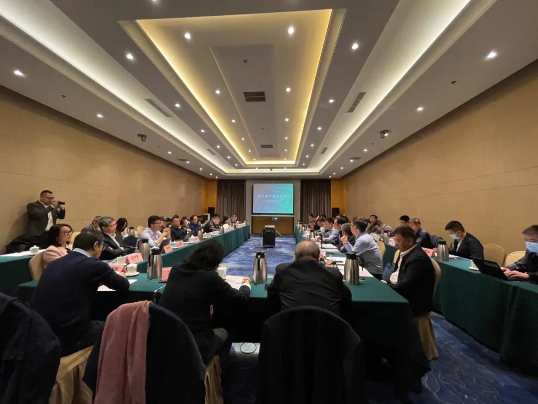 視全局、促合作，碳中和產(chǎn)業(yè)合作組織籌備會在京召開