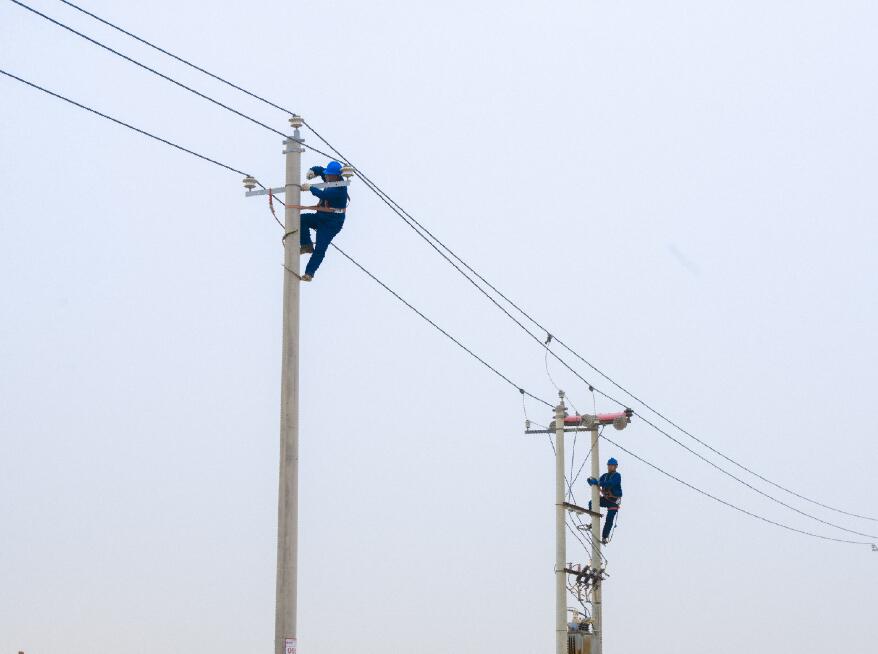 阿拉善供電公司：電網(wǎng)健康“體檢”，從登桿開(kāi)始