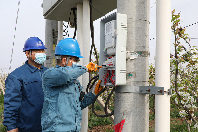 國網(wǎng)諸城市供電公司電力足，千畝梨園花正濃