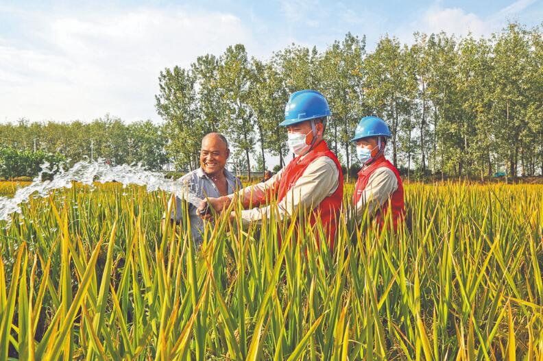 國網(wǎng)江蘇省電力有限公司:做實(shí)“黨建+”工程 推動(dòng)高質(zhì)量發(fā)展