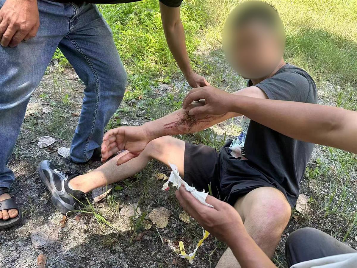 男子私設(shè)電網(wǎng)30余米，沒捕獲獵物卻電傷路人被刑拘