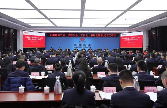 國能新疆能源召開二屆一次職代會、工代會、表彰會暨2025年工作會